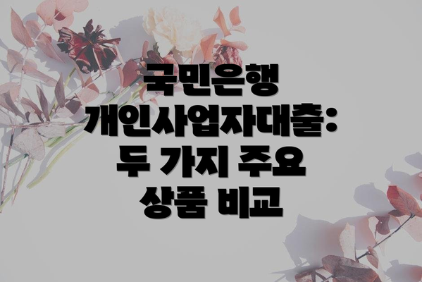 국민은행 개인사업자대출: 두 가지 주요 상품 비교