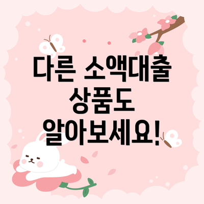 다른 소액대출 상품도 알아보세요!