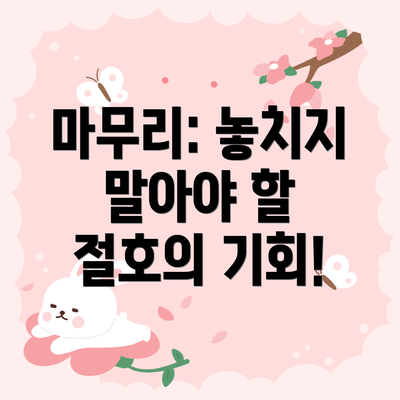 마무리: 놓치지 말아야 할 절호의 기회!