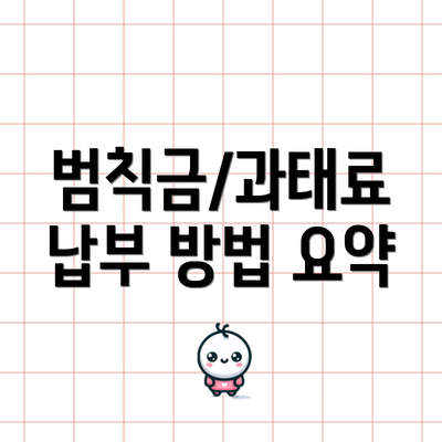 범칙금/과태료 납부 방법 요약