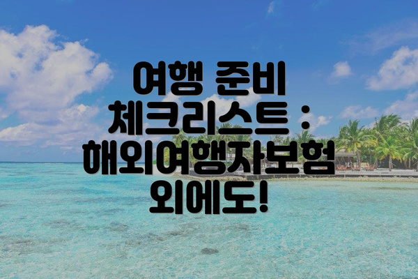 여행 준비 체크리스트 : 해외여행자보험 외에도!