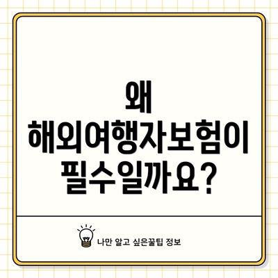 왜 해외여행자보험이 필수일까요?