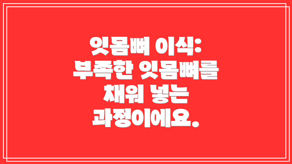 잇몸뼈 이식: 부족한 잇몸뼈를 채워 넣는 과정이에요.