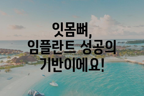 잇몸뼈, 임플란트 성공의 기반이에요!