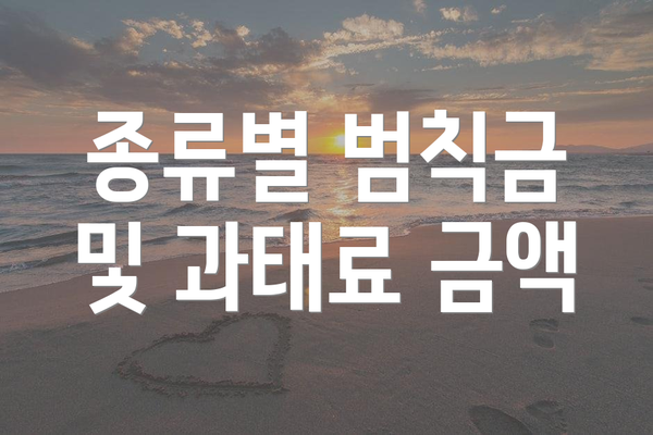종류별 범칙금 및 과태료 금액