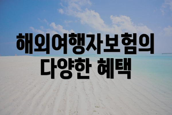 해외여행자보험의 다양한 혜택