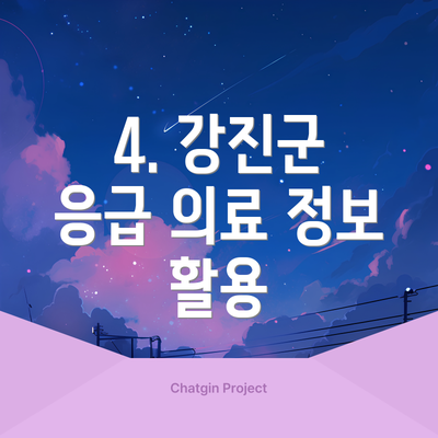 4. 강진군 응급 의료 정보 활용