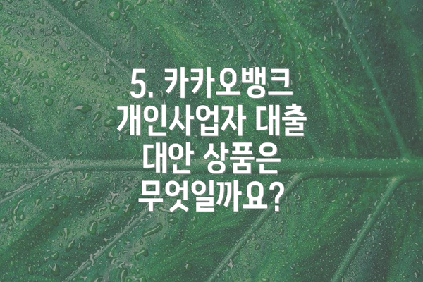5. 카카오뱅크 개인사업자 대출 대안 상품은 무엇일까요?