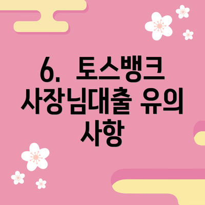 6.  토스뱅크 사장님대출 유의 사항