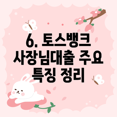 6. 토스뱅크 사장님대출 주요 특징 정리