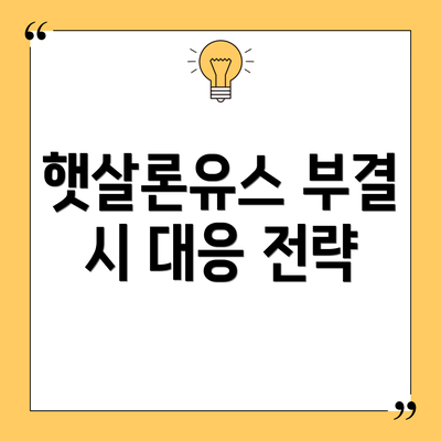 햇살론유스 부결 시 대응 전략