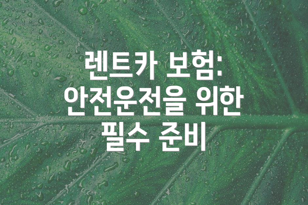 렌트카 보험: 안전운전을 위한 필수 준비