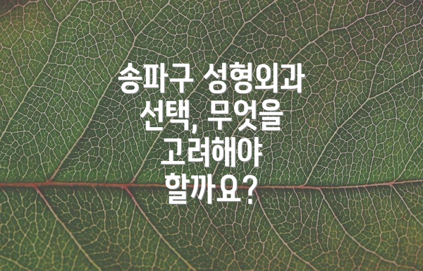 송파구 성형외과 선택, 무엇을 고려해야 할까요?