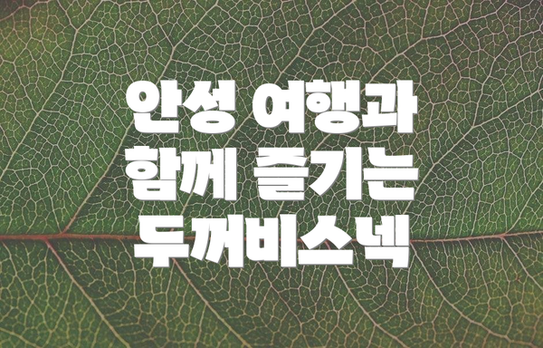 안성 여행과 함께 즐기는 두꺼비스넥