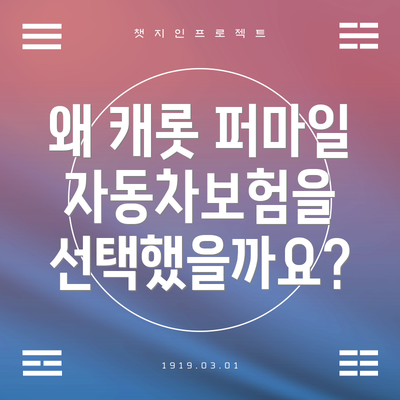 왜 캐롯 퍼마일 자동차보험을 선택했을까요?