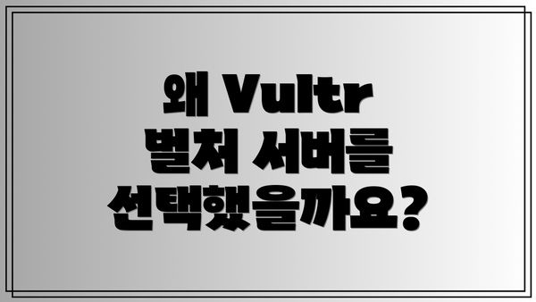 왜 Vultr 벌처 서버를 선택했을까요?