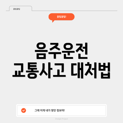음주운전 교통사고 대처법