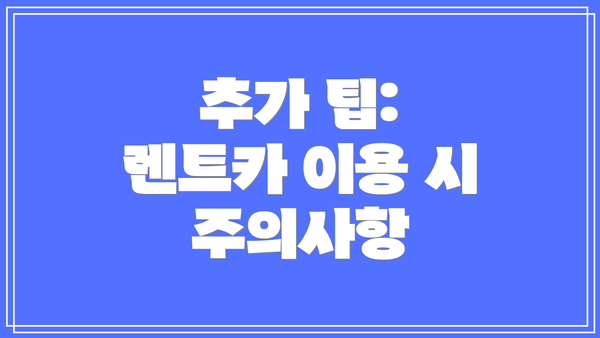 추가 팁: 렌트카 이용 시 주의사항