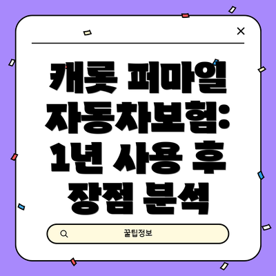 캐롯 퍼마일 자동차보험: 1년 사용 후 장점 분석