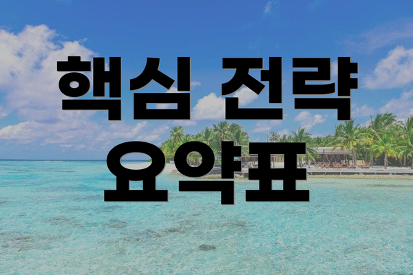 핵심 전략 요약표