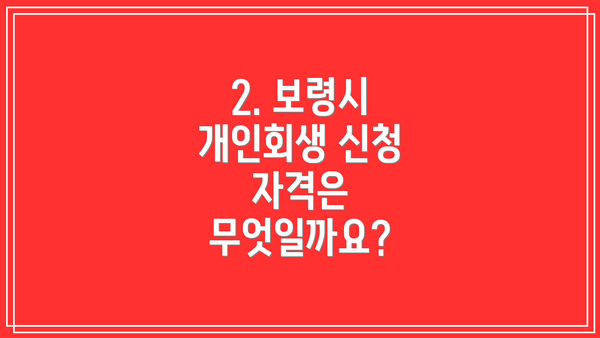 2. 보령시 개인회생 신청 자격은 무엇일까요?