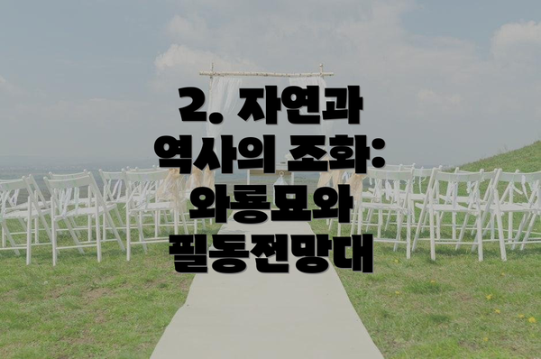 2. 자연과 역사의 조화: 와룡묘와 필동전망대