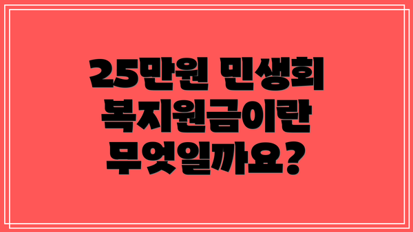 25만원 민생회복지원금이란 무엇일까요?
