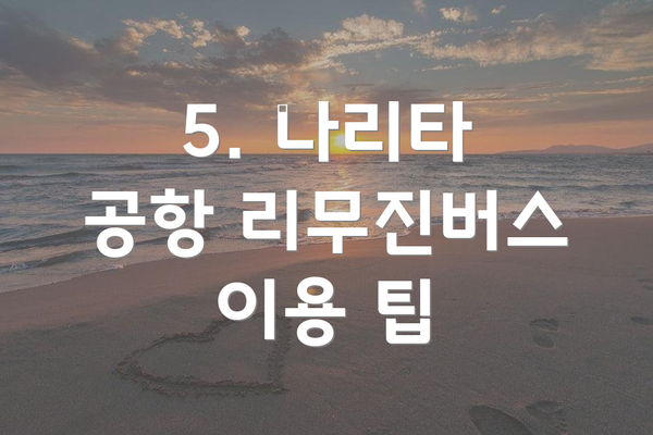 5. 나리타 공항 리무진버스 이용 팁