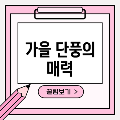 가을 단풍의 매력