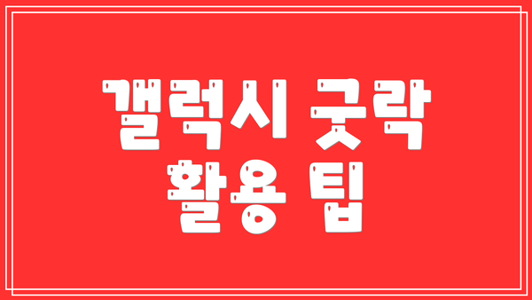 갤럭시 굿락 활용 팁