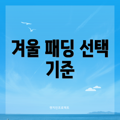 겨울 패딩 선택 기준
