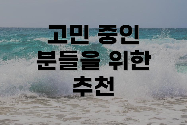 고민 중인 분들을 위한 추천