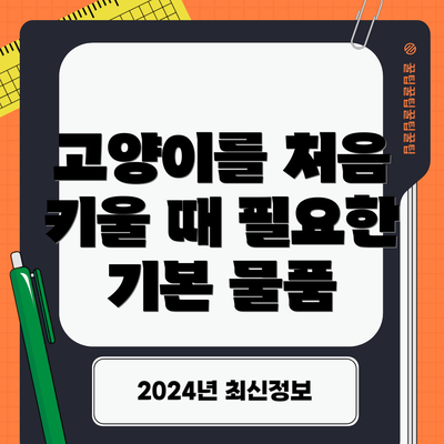 고양이를 처음 키울 때 필요한 기본 물품