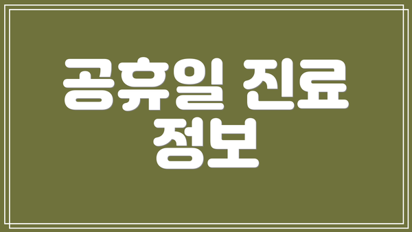 공휴일 진료 정보