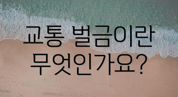 교통 벌금이란 무엇인가요?