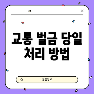 교통 벌금 당일 처리 방법