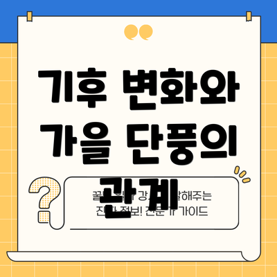 기후 변화와 가을 단풍의 관계