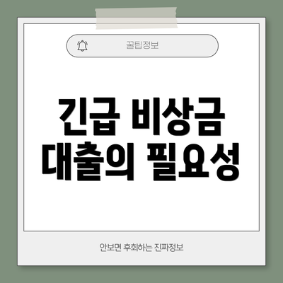 긴급 비상금 대출의 필요성