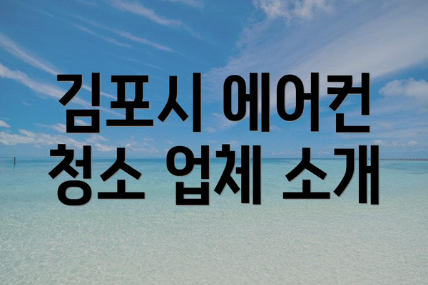 김포시 에어컨 청소 업체 소개