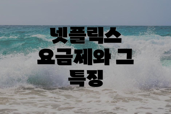 넷플릭스 요금제와 그 특징