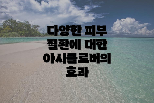 다양한 피부 질환에 대한 아시클로버의 효과