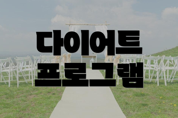 다이어트 프로그램