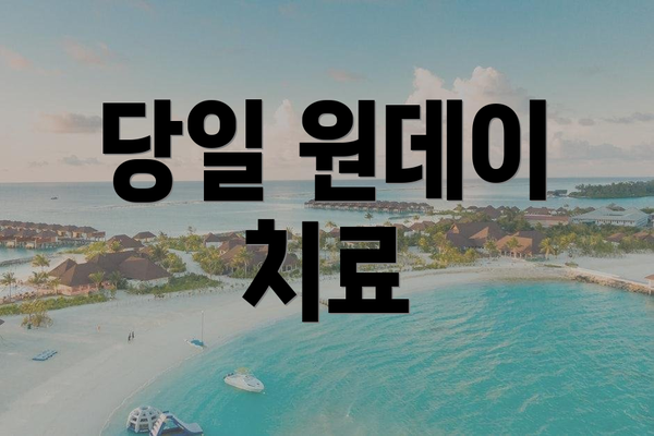 당일 원데이 치료