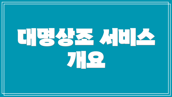 대명상조 서비스 개요