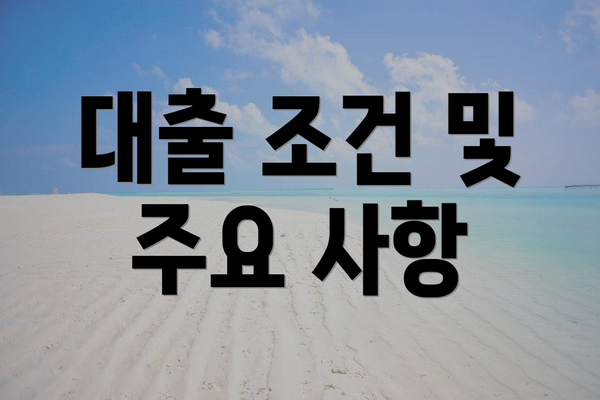대출 조건 및 주요 사항