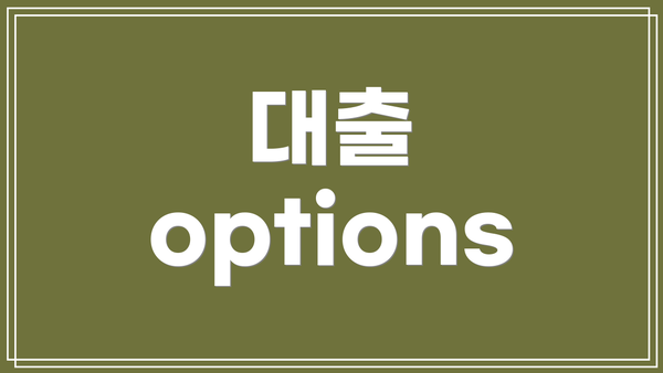 대출 options