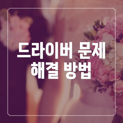 드라이버 문제 해결 방법
