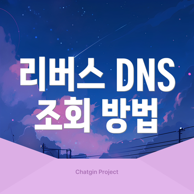 리버스 DNS 조회 방법