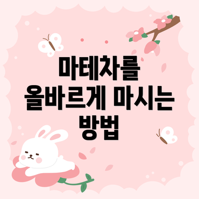 마테차를 올바르게 마시는 방법