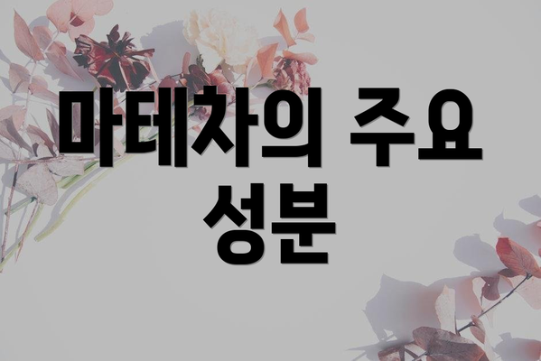 마테차의 주요 성분